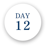 Day12